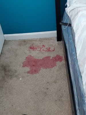Red drink, stains everywhere - This job speaks for itself. The customers college kid had Gatorade and red drink spills all over her bedroom. The customer did not think anything could be done about it until I let them know about the red removal treatment process. Needless to say they were very happy and amazed with the work that I did.