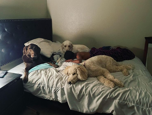 A home away from home - We treat your fur babies as our own and make them feel at home and loved. When you have to board your dog or dogs, give me a call and you'll know you left them in good hands. A home away from home - We treat your fur babies as our own and make them feel at home and loved. When you have to board your dog or dogs, give me a call and you'll know you left them in good hands.