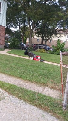 Grass Maintenance - Our Grass Maintenance Services Include:
Regular Mowing & Trimming: Keep your lawn at the perfect height, with clean, even cuts.
Edging & Clean-Up: Sharp edges along driveways, walkways, and garden beds for a polished look.
Fertilization & Weed Control: Boost grass growth and eliminate stubborn weeds.
Aeration: Improve soil health and promote root growth for a thick, green lawn.
Seasonal Care: Tailored treatments for spring, summer, and fall to keep your lawn in top shape year-round. Grass Maintenance - Our Grass Maintenance Services Include:
Regular Mowing & Trimming: Keep your lawn at the perfect height, with clean, even cuts.
Edging & Clean-Up: Sharp edges along driveways, walkways, and garden beds for a polished look.
Fertilization & Weed Control: Boost grass growth and eliminate stubborn weeds.
Aeration: Improve soil health and promote root growth for a thick, green lawn.
Seasonal Care: Tailored treatments for spring, summer, and fall to keep your lawn in top shape year-round.