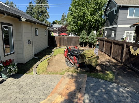 Downtown Coeur d alene Idaho paver install. - Back yard demo of sod sprinklers and spruce trees. Holland paver patio design installed. Downtown Coeur d alene Idaho paver install. - Back yard demo of sod sprinklers and spruce trees. Holland paver patio design installed.