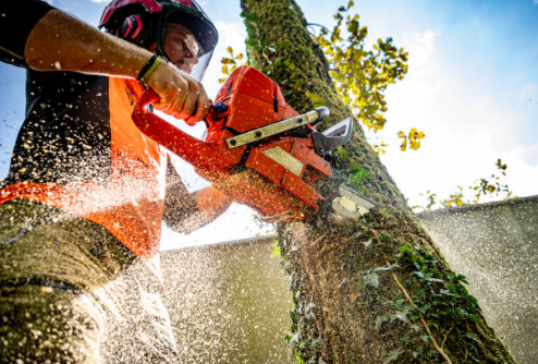 Emergency Tree Removal - We provide 24/7 emergency tree removal services in Douglasville and nearby areas. Whether it’s storm damage or a tree threatening your property, we’ll respond quickly to keep you safe.
Emergency tree removal Douglasville GA
Storm damage tree service Douglasville
Emergency tree service near me
24-hour tree removal Douglasville
Tree down removal service
Emergency tree cleanup Douglasville
Fast tree removal Douglasville GA
Fallen tree removal in Douglasville
Emergency tree cutting service Douglasville
Dangerous tree removal Douglasville Emergency Tree Removal - We provide 24/7 emergency tree removal services in Douglasville and nearby areas. Whether it’s storm damage or a tree threatening your property, we’ll respond quickly to keep you safe.
Emergency tree removal Douglasville GA
Storm damage tree service Douglasville
Emergency tree service near me
24-hour tree removal Douglasville
Tree down removal service
Emergency tree cleanup Douglasville
Fast tree removal Douglasville GA
Fallen tree removal in Douglasville
Emergency tree cutting service Douglasville
Dangerous tree removal Douglasville