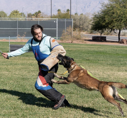 Working Dog Training - Certified IGP decoy. When getting your dog prepped for their role as guard dogs or guide dogs we spend a lot of time with developing key attributes necessary for success. Get expert guidance on how to ensure your dog masters the skills needed to perform any task! Working Dog Training - Certified IGP decoy. When getting your dog prepped for their role as guard dogs or guide dogs we spend a lot of time with developing key attributes necessary for success. Get expert guidance on how to ensure your dog masters the skills needed to perform any task!