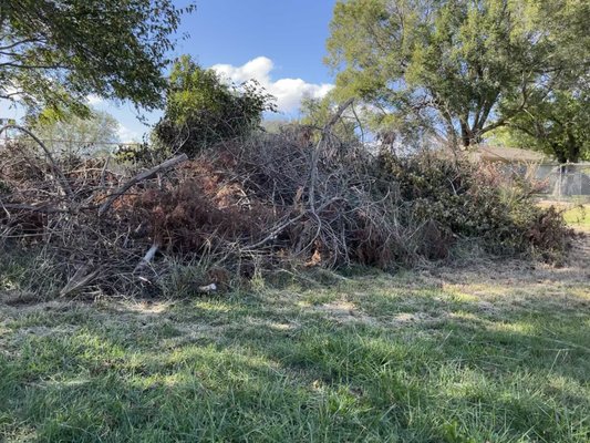 Massive yard waste collection in Salina, KS - Massive yard waste collection in Salina, KS — We are dedicated to your satisfaction!
Like and share if you love your county! 
☎️ (785)787-7564
✅ Free estimates  
✅ License & Insured
✅ 5 star reviews ⭐️⭐️⭐️⭐️⭐️