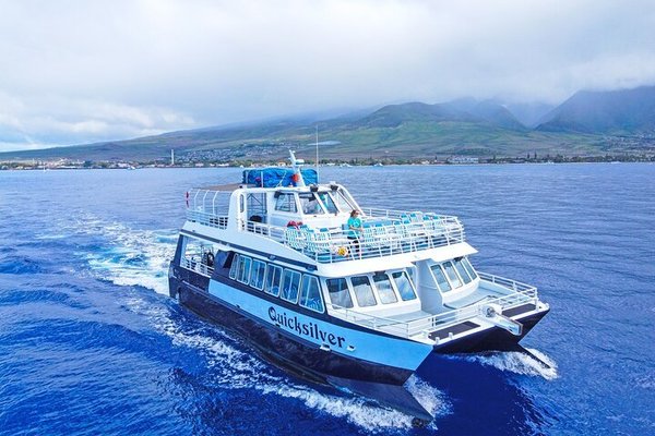 Quicksilver Charters - CALL TO BOOK: 808-442-3267
Join us for a one-of-a-kind adventure tour in Maui!
Leave the shores of Maui behind on the Lanai Snorkeling Tour and explore crystal blue waters teeming with marine life.
Enjoy a Dinner Cruise with island-style music and incredible ocean views while you sip island drink favorites. It’s the perfect setting to enjoy a Maui sunset!
Join us for Humpback Whale Watching and enjoy educational narration while you cruise to the “cradle of the humpback”.
No matter what excursion you choose, we guarantee it will be a highlight of your time spent in Maui. Ready for adventure? Book a tour online now! Quicksilver Charters - CALL TO BOOK: 808-442-3267
Join us for a one-of-a-kind adventure tour in Maui!
Leave the shores of Maui behind on the Lanai Snorkeling Tour and explore crystal blue waters teeming with marine life.
Enjoy a Dinner Cruise with island-style music and incredible ocean views while you sip island drink favorites. It’s the perfect setting to enjoy a Maui sunset!
Join us for Humpback Whale Watching and enjoy educational narration while you cruise to the “cradle of the humpback”.
No matter what excursion you choose, we guarantee it will be a highlight of your time spent in Maui. Ready for adventure? Book a tour online now!
