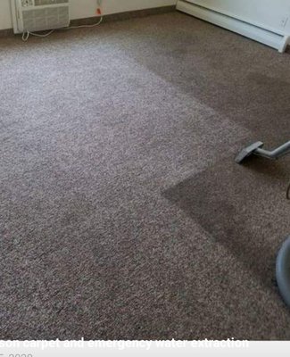 Stein removal - This carpeting was in very bad shape, along with other unknown steins.