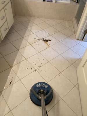Tile and Grout Cleaning - Tile cleaning a bathroom floor after bio hazard issue. Tile and Grout Cleaning - Tile cleaning a bathroom floor after bio hazard issue.