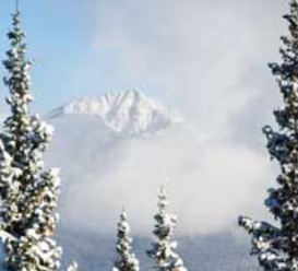 Ski Packages - We are conveniently located on the Lionshead Mall just steps away from the Eagle Bahn Gondola. For the last 34 years we have been Vail’s leader in quality, price and service. We are locally owned and operated with special emphasis on friendly and knowledgeable service.
Our full-service repair shop technicians have decades of experience with all types of ski and snowboard repair. Also our certified boot specialists can assist you with any boot problem, featuring Superfeet Custom Footbeds. We offer a full line of rental and sales equipment from manufacturers such as Rossignol, K2, Blizzard, Tyrolia, Head, Salomon, Nordica, Volkl, Marker, Dynastar, Lange, Kastle, Tecnica, Atomic, Never Summer, Ride and 540. Vail Ski Tech is truly your one-stop ski shop! Ski Packages - We are conveniently located on the Lionshead Mall just steps away from the Eagle Bahn Gondola. For the last 34 years we have been Vail’s leader in quality, price and service. We are locally owned and operated with special emphasis on friendly and knowledgeable service.
Our full-service repair shop technicians have decades of experience with all types of ski and snowboard repair. Also our certified boot specialists can assist you with any boot problem, featuring Superfeet Custom Footbeds. We offer a full line of rental and sales equipment from manufacturers such as Rossignol, K2, Blizzard, Tyrolia, Head, Salomon, Nordica, Volkl, Marker, Dynastar, Lange, Kastle, Tecnica, Atomic, Never Summer, Ride and 540. Vail Ski Tech is truly your one-stop ski shop!