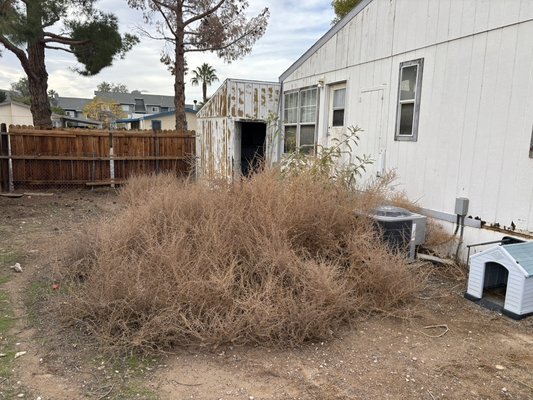 Another clean-up brought to you by Lawn Order Lawn Maintenance - Quick clean-up. Call and schedule your free estimate today Another clean-up brought to you by Lawn Order Lawn Maintenance - Quick clean-up. Call and schedule your free estimate today