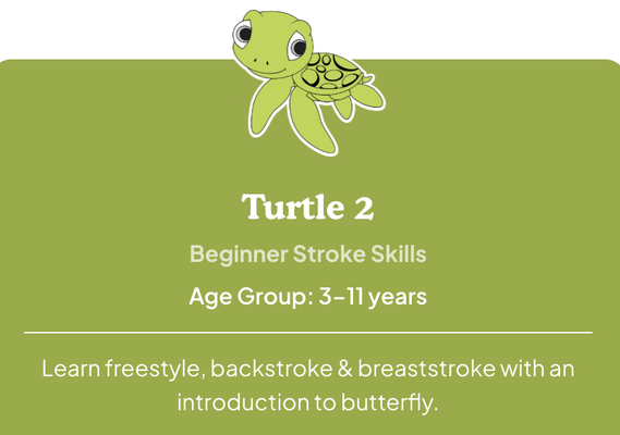 Beginner Stroke Skills, Advanced, Pre-swim team - Learn freestyle, breaststroke, backstroke, with an introduction to butterfly. Beginner Stroke Skills, Advanced, Pre-swim team - Learn freestyle, breaststroke, backstroke, with an introduction to butterfly.