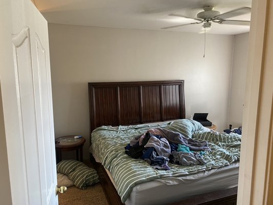 Maid Men Cleaning Service - The customer got a deep cleaning, carpet shampooing and upholstery cleaning for a very cheap price Maid Men Cleaning Service - The customer got a deep cleaning, carpet shampooing and upholstery cleaning for a very cheap price