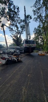 City of Guntersville tree removal - City of Guntersville tree removal City of Guntersville tree removal - City of Guntersville tree removal