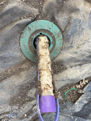 Termite Services - EcoGuard offers a variety of termite services ranging from prevention to treatment and repair. Contact one of our termite experts for more information.