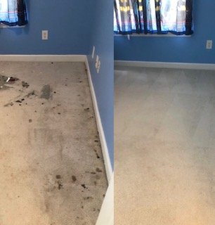 Cat Odor and Mess - Level 5! - A Cat mess and odor job that I got great results on. Cat Odor and Mess - Level 5! - A Cat mess and odor job that I got great results on.