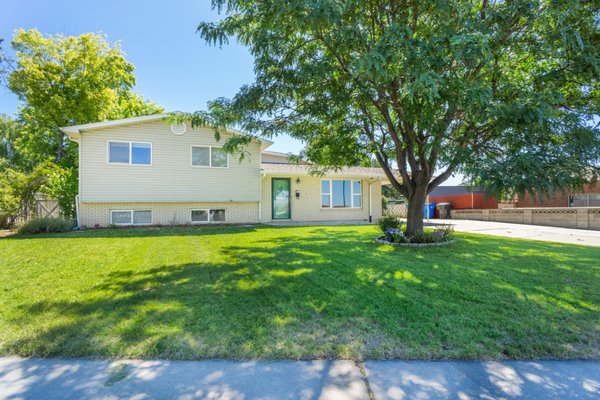 Home Sold When Other Agent Failed - Mindy and her family needed to move out of state for work. After another agent tried and failed for months to sell her home she contacted Micah for help. She asked if she needed to reduce the price. Micah looked at the home, made a couple of suggestions and sold it 10 DAYS after listing it... and for $5,100 MORE than she had been asking before.
Here are her own words about the experience "We couldn't have been more happy selling our house through Micah Olson! We had it on the market with another agent for several months with no success. Micah was very professional and had a great game plan from the beginning. We got an offer on the house even before the listing hit the MLS! The offer was more than the full price the house was previously listed at with the other agent. THANKS MICAH! We would sell with you again!"
Every home is different. Every seller has different needs and goals. Call Micah today to have a free, confidential conversation about your specific situation, and to start laying the groundwork for your personalized roadmap! Home Sold When Other Agent Failed - Mindy and her family needed to move out of state for work. After another agent tried and failed for months to sell her home she contacted Micah for help. She asked if she needed to reduce the price. Micah looked at the home, made a couple of suggestions and sold it 10 DAYS after listing it... and for $5,100 MORE than she had been asking before.
Here are her own words about the experience "We couldn't have been more happy selling our house through Micah Olson! We had it on the market with another agent for several months with no success. Micah was very professional and had a great game plan from the beginning. We got an offer on the house even before the listing hit the MLS! The offer was more than the full price the house was previously listed at with the other agent. THANKS MICAH! We would sell with you again!"
Every home is different. Every seller has different needs and goals. Call Micah today to have a free, confidential conversation about your specific situation, and to start laying the groundwork for your personalized roadmap!