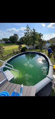 Green to Clean - This Green to Clean pool service was done on an above ground pool that had not been service in months. We repaired the pool pump and aggressively treated the pool to return it to a crystal clear state. This process took just 1 week from completely green to paradise clear! Green to Clean - This Green to Clean pool service was done on an above ground pool that had not been service in months. We repaired the pool pump and aggressively treated the pool to return it to a crystal clear state. This process took just 1 week from completely green to paradise clear!