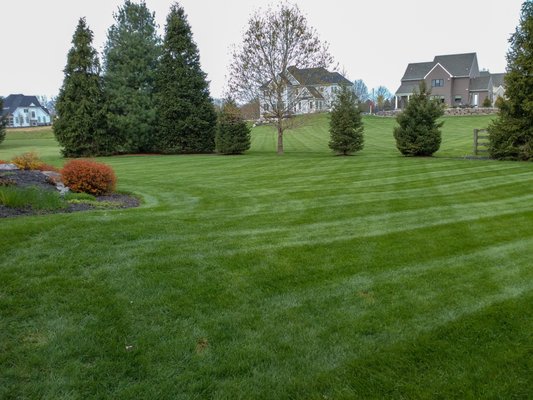 Lawn Health Care - Lawn Health Care
Improve Your Soil; Improve Your Lawn
Stop struggling with unsightly crabgrass, persistent weeds and relentless pests, and start enjoying a lush and verdant lawn.
Keeping your lawn healthy, dense and green is not as easy as it looks. If you’re like most people, you’ve probably spent many summer hours attempting to keep your grass lush, healthy and manicured. Sometimes, it might go well. Other times, it seems that your grass just won’t cooperate no matter what you do.
Often all of your efforts on the surface have little or no effect because your soil is compromised. At Turning Green Pro, we assess each yard on an individual basis. Lawn Health Care - Lawn Health Care
Improve Your Soil; Improve Your Lawn
Stop struggling with unsightly crabgrass, persistent weeds and relentless pests, and start enjoying a lush and verdant lawn.
Keeping your lawn healthy, dense and green is not as easy as it looks. If you’re like most people, you’ve probably spent many summer hours attempting to keep your grass lush, healthy and manicured. Sometimes, it might go well. Other times, it seems that your grass just won’t cooperate no matter what you do.
Often all of your efforts on the surface have little or no effect because your soil is compromised. At Turning Green Pro, we assess each yard on an individual basis.