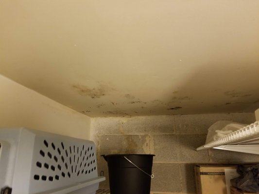 River North pipe Leak in Storage Room - Standard pipe leak in storage room. Light microbial growth present throughout storage.
Full gut of room. Standard mold procedures taken. River North pipe Leak in Storage Room - Standard pipe leak in storage room. Light microbial growth present throughout storage.
Full gut of room. Standard mold procedures taken.