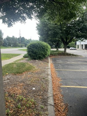 Mulch seeding and trimming - Gave a new look to this business with an outdoor up lift. Trimmed some bushes cleared out by the dumpster grass seed down and put mulch down Mulch seeding and trimming - Gave a new look to this business with an outdoor up lift. Trimmed some bushes cleared out by the dumpster grass seed down and put mulch down