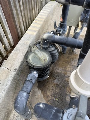 Pump repair/replacement. Single speed, non-efficient. To a variable speed, high efficiency. - The customer got tired of paying huge electrical bills. Switched to an energy, efficient, variable speed pump, use us four times less electric electricity compared to the old one. Pump repair/replacement. Single speed, non-efficient. To a variable speed, high efficiency. - The customer got tired of paying huge electrical bills. Switched to an energy, efficient, variable speed pump, use us four times less electric electricity compared to the old one.