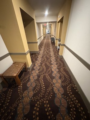 5 huge hallways steam cleaning. - This was a job for a retirement  home that needed there hallways cleaned asap.
