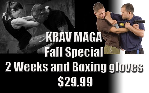 Krav Maga - We offer a Low-impact Senior Krav Maga Class and a regular Krav Maga class. Krav Maga is the official hand-to-hand combat system of the Israeli Defense Forces. It is regarded as the best self-defense system because of its efficient, no-nonsense, tactics that emphasize instinctive movements, practical techniques, and realistic training scenarios. This is what draws many participants to our Krav Maga classes. Teenagers and adults work side-by-side in these classes as they progress through the various lessons we offer at Chozen Martial Arts. Krav Maga - We offer a Low-impact Senior Krav Maga Class and a regular Krav Maga class. Krav Maga is the official hand-to-hand combat system of the Israeli Defense Forces. It is regarded as the best self-defense system because of its efficient, no-nonsense, tactics that emphasize instinctive movements, practical techniques, and realistic training scenarios. This is what draws many participants to our Krav Maga classes. Teenagers and adults work side-by-side in these classes as they progress through the various lessons we offer at Chozen Martial Arts.