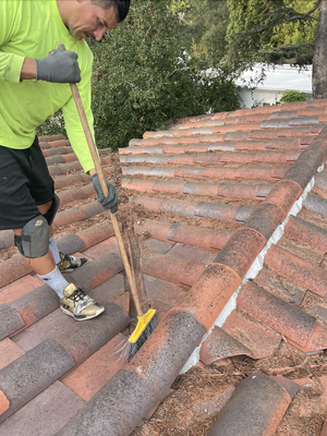 Roof Cleaning - We specialize in rain gutter cleaning, roof cleaning, solar panel cleaning, and pressure washing. Roof Cleaning - We specialize in rain gutter cleaning, roof cleaning, solar panel cleaning, and pressure washing.