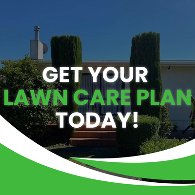 Garden Maintenance & Lawn Mowing // June 2023 - Some highlights from a recent lawn care & garden maintenance project. Garden Maintenance & Lawn Mowing // June 2023 - Some highlights from a recent lawn care & garden maintenance project.
