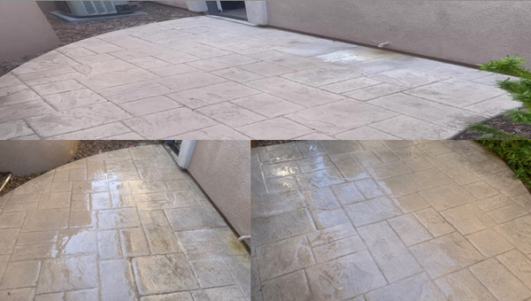 Biltmore - Biltmore: Back Patio and complete walkway