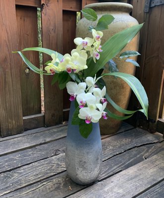 All Occasion Florals - Florals to thank, congratulate, celebrate, well wish and convey any sentiment you desire.