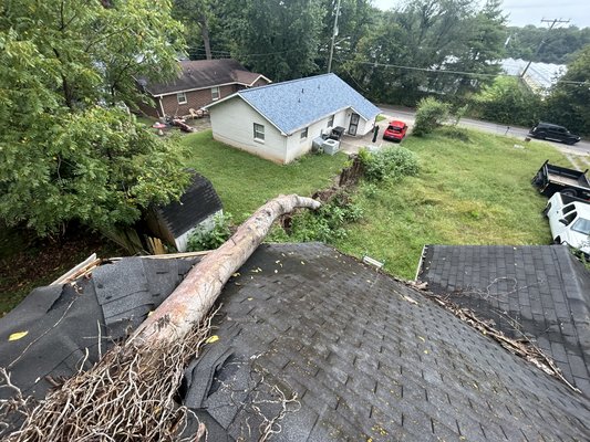 EMERGENCY RELIEF🆘 - Heavy rain, high winds, lightning, hail, and unforeseen weather can cause serious damage to homes and property! 🌪️🏚️ Kings Tree Service is there for you 24/7 for any emergency relief services that you may need! 💪 EMERGENCY RELIEF🆘 - Heavy rain, high winds, lightning, hail, and unforeseen weather can cause serious damage to homes and property! 🌪️🏚️ Kings Tree Service is there for you 24/7 for any emergency relief services that you may need! 💪