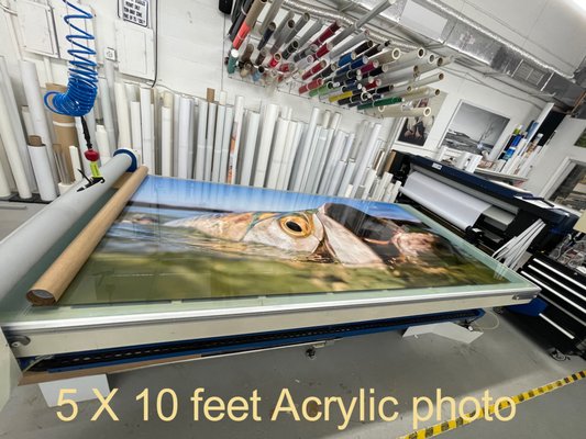 Photos mounted on acrylic and laser cut - Here at Easy Signs Inc we are doing all types of printing, mounting, painting, laser cutting and much more. We get all deferent complicated jobs as you can see. Always looing for the perfect print and finish product. Professional photographer love our prints because we are using a new 10 color printers with 5 shade of black to make the photo looks prefect, Our clientele is Gallery's, photo studios, artist, and costumers how want to print photos from there own phones.
Small or large orders all welcome. Photos mounted on acrylic and laser cut - Here at Easy Signs Inc we are doing all types of printing, mounting, painting, laser cutting and much more. We get all deferent complicated jobs as you can see. Always looing for the perfect print and finish product. Professional photographer love our prints because we are using a new 10 color printers with 5 shade of black to make the photo looks prefect, Our clientele is Gallery's, photo studios, artist, and costumers how want to print photos from there own phones.
Small or large orders all welcome.