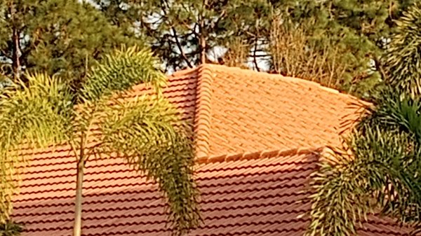 Home inspections - C.E.D  Home Inspections services. home buying & pre-selling inspection services provided. Certified and licensed for the state of Florida. Experienced  professionals for all home insurance  and home inspection requirements.