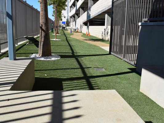 Commercial & School Projects - Elite Artificial Grass has extensive experience in installing artificial grass lawns in the commercial market. We know how valuable it is to these entities (City, State, property management companies, privately owned buildings and /or Properties) to replace the vast stretches of grass lawns that surround and fill the landscapes that surround them. Sod grass simply is not an option anymore. The simplest solution is to replace these areas with artificial lawns. Elite Artificial Grass has done work for many cities, agencies, and businesses ranging from small to large.
Indoor Crossfit Training Facilities, Outdoor Dog Parks, Fields at Schools, Preschool Playgrounds, Residential Community Landscaping, Hotel Turf Installations, Apartment Buildings, Golf Training Facilities, Car Dealerships, Banks, Restaurants and so much more. With our Head Foreman installing artificial grass since 2005, you know that your commercial landscape makeover is in good hands. Commercial & School Projects - Elite Artificial Grass has extensive experience in installing artificial grass lawns in the commercial market. We know how valuable it is to these entities (City, State, property management companies, privately owned buildings and /or Properties) to replace the vast stretches of grass lawns that surround and fill the landscapes that surround them. Sod grass simply is not an option anymore. The simplest solution is to replace these areas with artificial lawns. Elite Artificial Grass has done work for many cities, agencies, and businesses ranging from small to large.
Indoor Crossfit Training Facilities, Outdoor Dog Parks, Fields at Schools, Preschool Playgrounds, Residential Community Landscaping, Hotel Turf Installations, Apartment Buildings, Golf Training Facilities, Car Dealerships, Banks, Restaurants and so much more. With our Head Foreman installing artificial grass since 2005, you know that your commercial landscape makeover is in good hands.