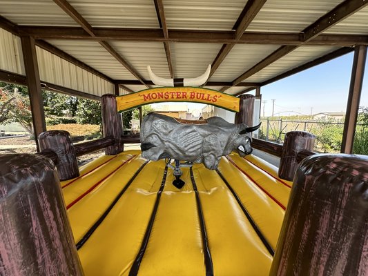 Mechanical bull - This mechanical bull is perfect for any party event’s