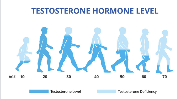 What Is TRT? - TRT therapy can be necessary for a number of reasons.
Primarily, it’s caused by an abnormal loss of testosterone due to aging that leaves men unable to live their lives to the fullest earlier than expected.
Common symptoms that you might need TRT are brain fog, depression, low sperm count, low sex drive, and a lack of energy.
If any of those symptoms are present, TRT might be a suitable treatment.
Our medical experts will review all your information and provide an appropriate treatment plan based on current labs, symptoms, and your health goals.
While TRT can be life-changing, a medical professional should make all decisions regarding your TRT treatment. If you’re looking to try TRT, Balance Hormone Health provides qualified lab testing to determine your need and eligibility for TRT. What Is TRT? - TRT therapy can be necessary for a number of reasons.
Primarily, it’s caused by an abnormal loss of testosterone due to aging that leaves men unable to live their lives to the fullest earlier than expected.
Common symptoms that you might need TRT are brain fog, depression, low sperm count, low sex drive, and a lack of energy.
If any of those symptoms are present, TRT might be a suitable treatment.
Our medical experts will review all your information and provide an appropriate treatment plan based on current labs, symptoms, and your health goals.
While TRT can be life-changing, a medical professional should make all decisions regarding your TRT treatment. If you’re looking to try TRT, Balance Hormone Health provides qualified lab testing to determine your need and eligibility for TRT.
