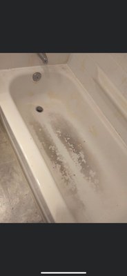 Bathtub clean - I love being able to give clients an idea of what we do. Pictured is the bathroom inside a clients home. Here is the state of a bathtub an elderly client was no longer able to maintain after breaking a hip.
We partnered with a local organization to offer free cleaning services to them. Here at Olympic Cleaning & Beyond we believe in giving back to the community. Bathtub clean - I love being able to give clients an idea of what we do. Pictured is the bathroom inside a clients home. Here is the state of a bathtub an elderly client was no longer able to maintain after breaking a hip.
We partnered with a local organization to offer free cleaning services to them. Here at Olympic Cleaning & Beyond we believe in giving back to the community.