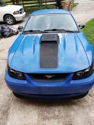 Complete paint work - Before and after on 2003 Mach1 mustang. Sun damaged for years. Car was completely taken apart and put back together. Complete paint work - Before and after on 2003 Mach1 mustang. Sun damaged for years. Car was completely taken apart and put back together.