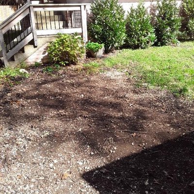 Yard debris removal - If have yard debris to get rid of call Toss It Out! We will clear the space and free your time. Yard debris removal - If have yard debris to get rid of call Toss It Out! We will clear the space and free your time.