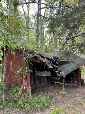 Sheds Demolition - This client called us to help demolish two sheds that were just taking up space in her backyard. She was extremely happy with how her yard looked after we got it all taken care of for her. Sheds Demolition - This client called us to help demolish two sheds that were just taking up space in her backyard. She was extremely happy with how her yard looked after we got it all taken care of for her.
