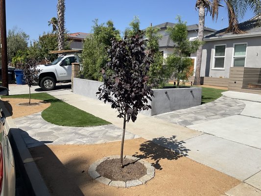 Zero maintenance front yard remodel to maximise space and usage - This front yard was completely transformed into a sleek, zero-maintenance outdoor space designed for everyday functionality. By removing high-upkeep landscaping and reimagining the layout, we created a clean, open design that maximizes usable space for parking, gathering, and effortless curb appeal. Durable, modern materials ensure long-lasting performance with no watering, mowing, or seasonal upkeep — just a practical, polished look that elevates the home year-round.