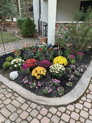 Flower bed - Flower bed Flower bed - Flower bed