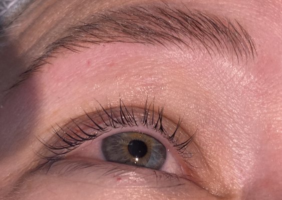 Lash Lift and Tint - Lash Lift and Tint Lash Lift and Tint - Lash Lift and Tint