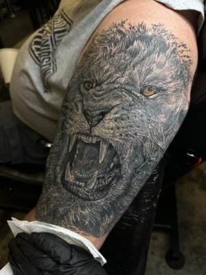 Lion coverup - In August, we took on an ambitious and rewarding project at Mabee Ink Tattoos. Our client had a vision to transform their existing bonefish half-sleeve into a roaring lion portrait. It was a labor of love, a journey that demanded dedication and skill. With each meticulously inked stroke, the bonefish transformed into the majestic lion, symbolizing courage and strength. The end result was more than just a sleeve; it was a testament to our commitment to turning dreams into inked realities. At Mabee Ink Tattoos, we create transformative art that covers not just skin but tells stories and represents growth Lion coverup - In August, we took on an ambitious and rewarding project at Mabee Ink Tattoos. Our client had a vision to transform their existing bonefish half-sleeve into a roaring lion portrait. It was a labor of love, a journey that demanded dedication and skill. With each meticulously inked stroke, the bonefish transformed into the majestic lion, symbolizing courage and strength. The end result was more than just a sleeve; it was a testament to our commitment to turning dreams into inked realities. At Mabee Ink Tattoos, we create transformative art that covers not just skin but tells stories and represents growth