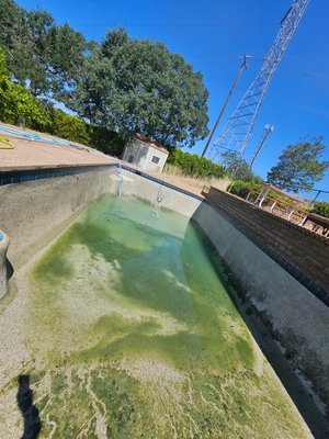 Want you pool back to perfection? - With over 10 years 1000 pools of professional experience in the area, I can get any pool back to its best.