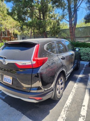 Clay & Wax - This is our packet 5# which includes Clay bar & Wax! Clay & Wax - This is our packet 5# which includes Clay bar & Wax!