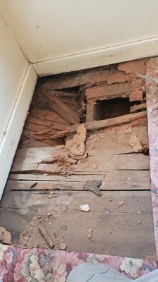 Dry rot repair - Years of water intrusion did a toll on this home. Insects found there way to the moisture and resulted in structural framing members deteriorating and settling. Though the slight settling was not addressed in this project, the rotten material was. It was removed and replaced. The water intrusion was also address to ensure this issue did not happen again. Dry rot repair - Years of water intrusion did a toll on this home. Insects found there way to the moisture and resulted in structural framing members deteriorating and settling. Though the slight settling was not addressed in this project, the rotten material was. It was removed and replaced. The water intrusion was also address to ensure this issue did not happen again.