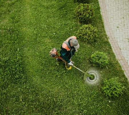 Lawn & Garden Care - LAWN & GARDEN CARE
- Grass renewal, cutting and edge trimming.

- Organic fertilization and seeding.

- Hedge trimming and flowers Bedding.

- Prepare your garden with Spring and Fall clean up.