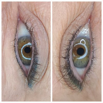 Smokeshow Shadow Eyeliner - Black Eyelash enhancement tight line eyeliner tattoo paired with Emerald green shading. Shading may be multicolor; black, brown, green, blue, or purple. Super strong numbing cream is generously used.