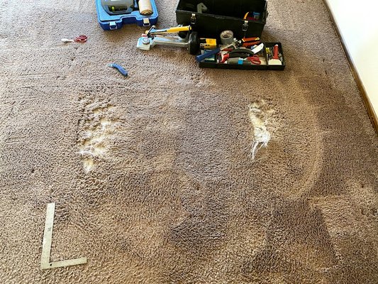 Carpet Patch (Pet Damage) - This previous client was in a bind with photos scheduled for their house showing the summer of 2021, they needed help with the carpets asap. Luckily Angels carpet repair was able to respond and patch out the carpet within a couple days. The customers were ecstatic with the results! Carpet Patch (Pet Damage) - This previous client was in a bind with photos scheduled for their house showing the summer of 2021, they needed help with the carpets asap. Luckily Angels carpet repair was able to respond and patch out the carpet within a couple days. The customers were ecstatic with the results!