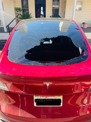 Tesla 3 - Got Tesla? We can help! Tesla 3 - Got Tesla? We can help!